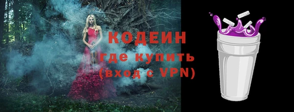 амф Бородино