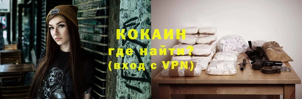 амф Бородино