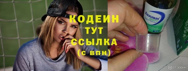 амф Бородино