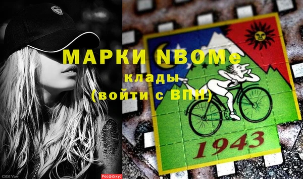 амф Бородино