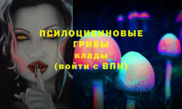 амф Бородино
