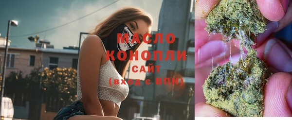 амф Бородино