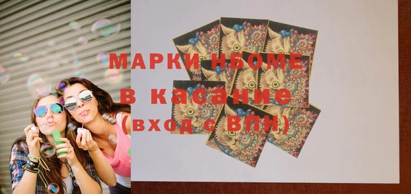 амф Бородино