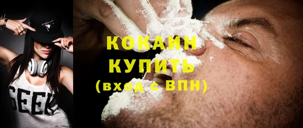амф Бородино