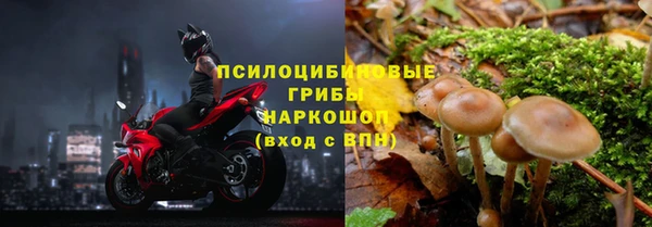 каннабис Бронницы