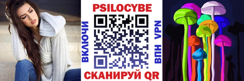 Купить где  Дубна  Галлюциногенные грибы Psilocybe 